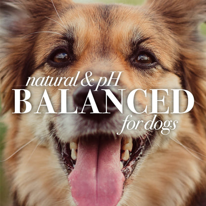 Burt's Bees Paw & Nose Dog Lotion