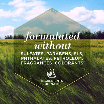 Burt's Bees Paw & Nose Dog Lotion