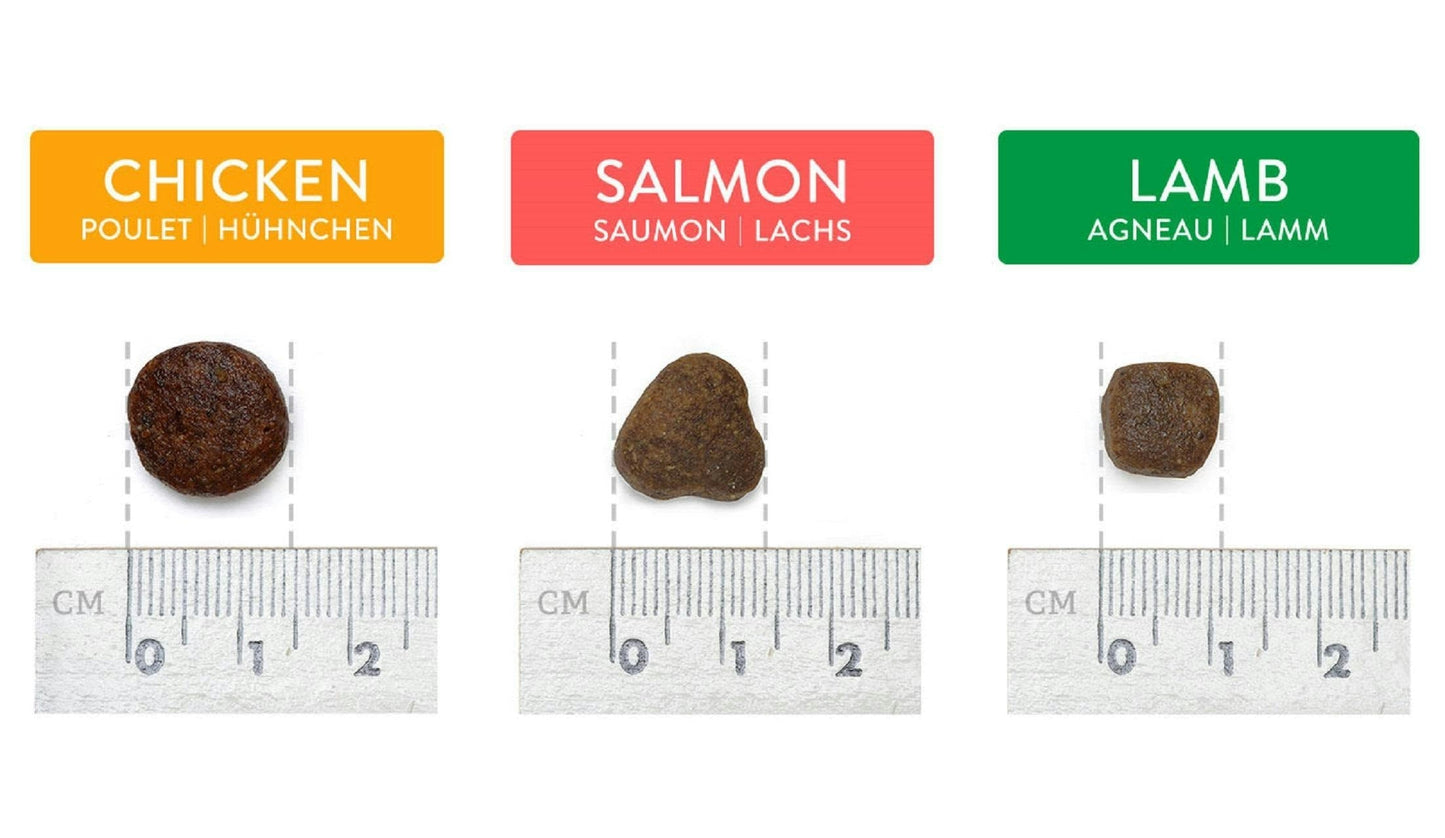 Canine Choice Super Premium Grain-Free Medium Adult Dry Dog Food – Salmon