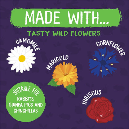 Burgess Excel Nature Snacks Wildflower Forage