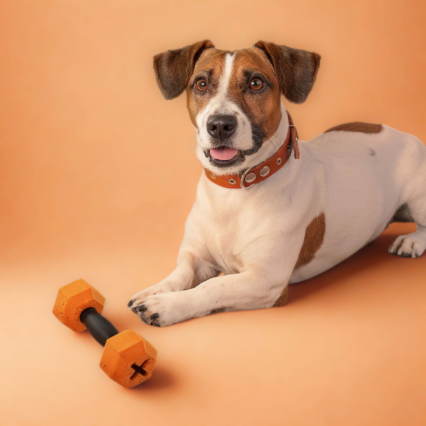 Max Fusion Fusion Dumbbell Dog Toy