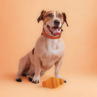 Max Fusion Cannon Dog Toy