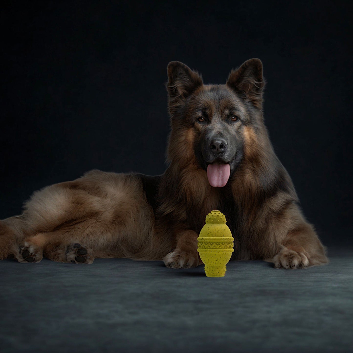 Max Fusion Cannon Dog Toy