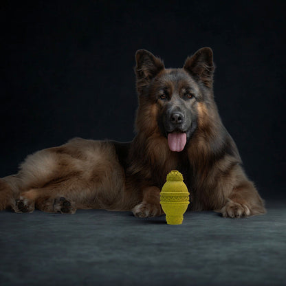 Max Fusion Cannon Dog Toy