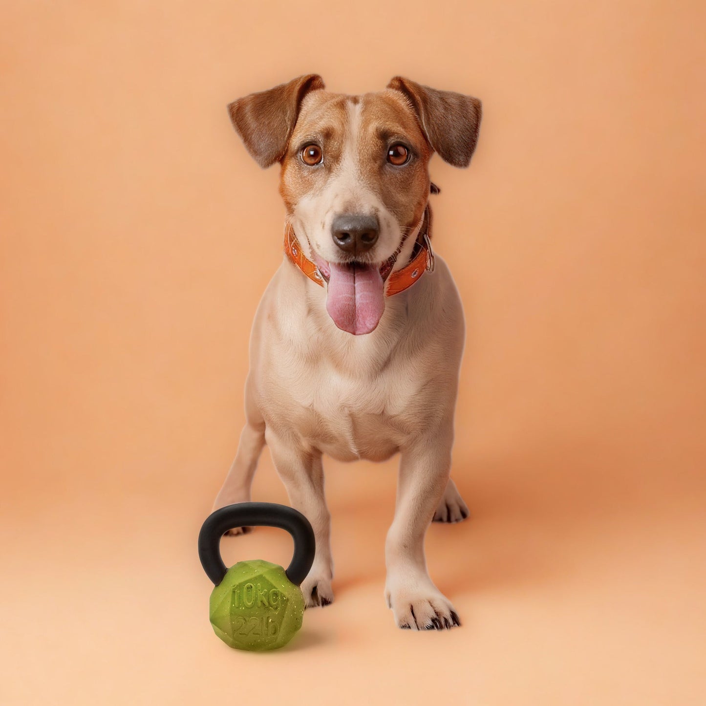 Max Fusion Kettle Bell Dog Toy