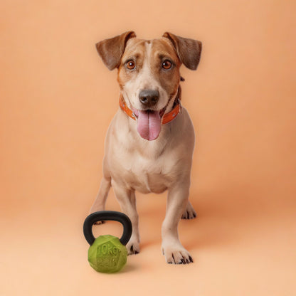 Max Fusion Kettle Bell Dog Toy