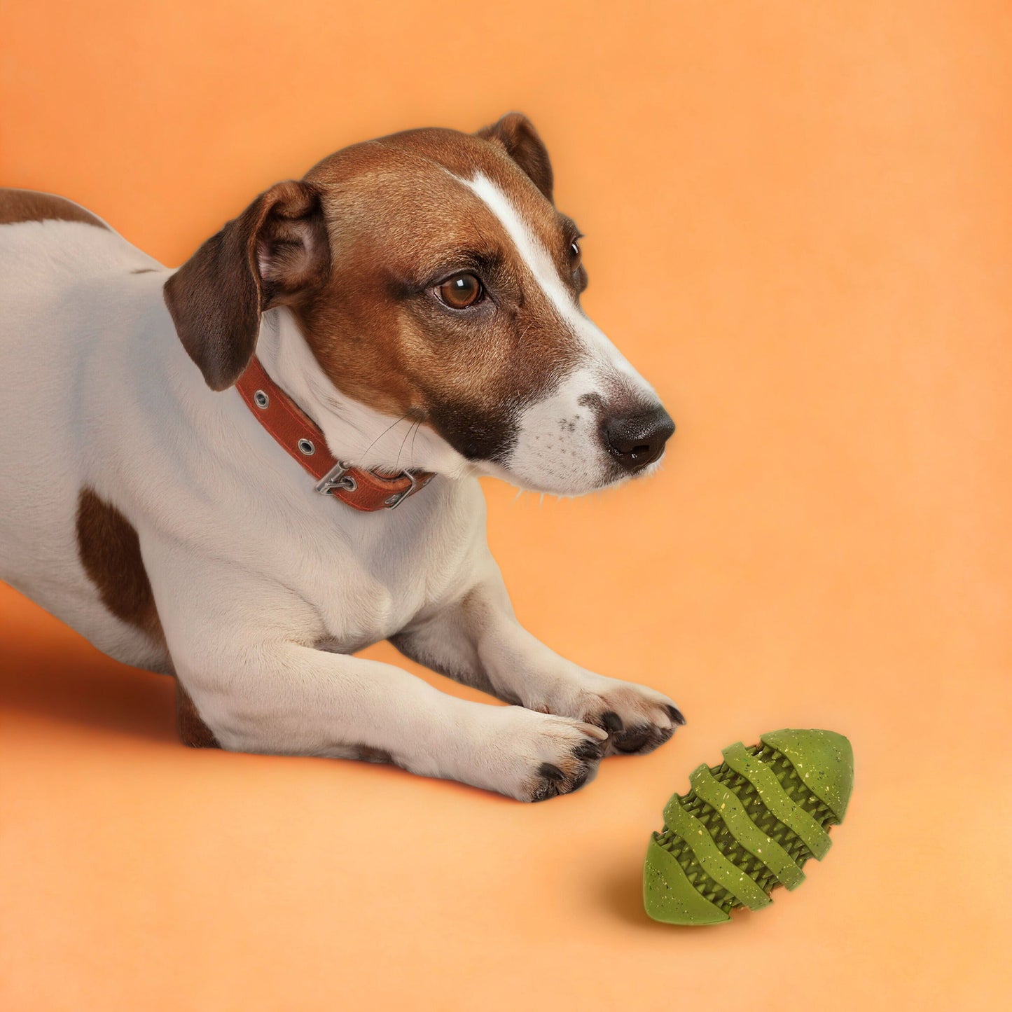 Max Fusion Spiro Football Dog Toy