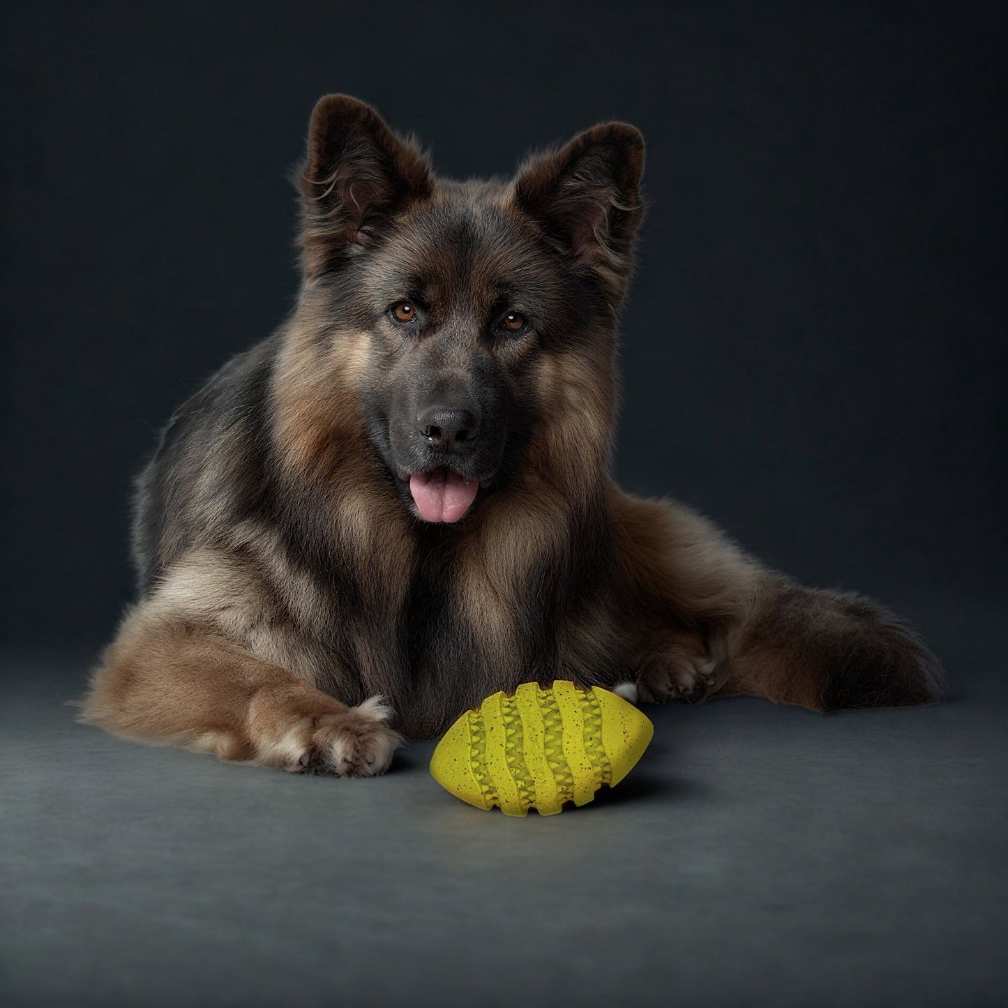 Max Fusion Spiro Football Dog Toy