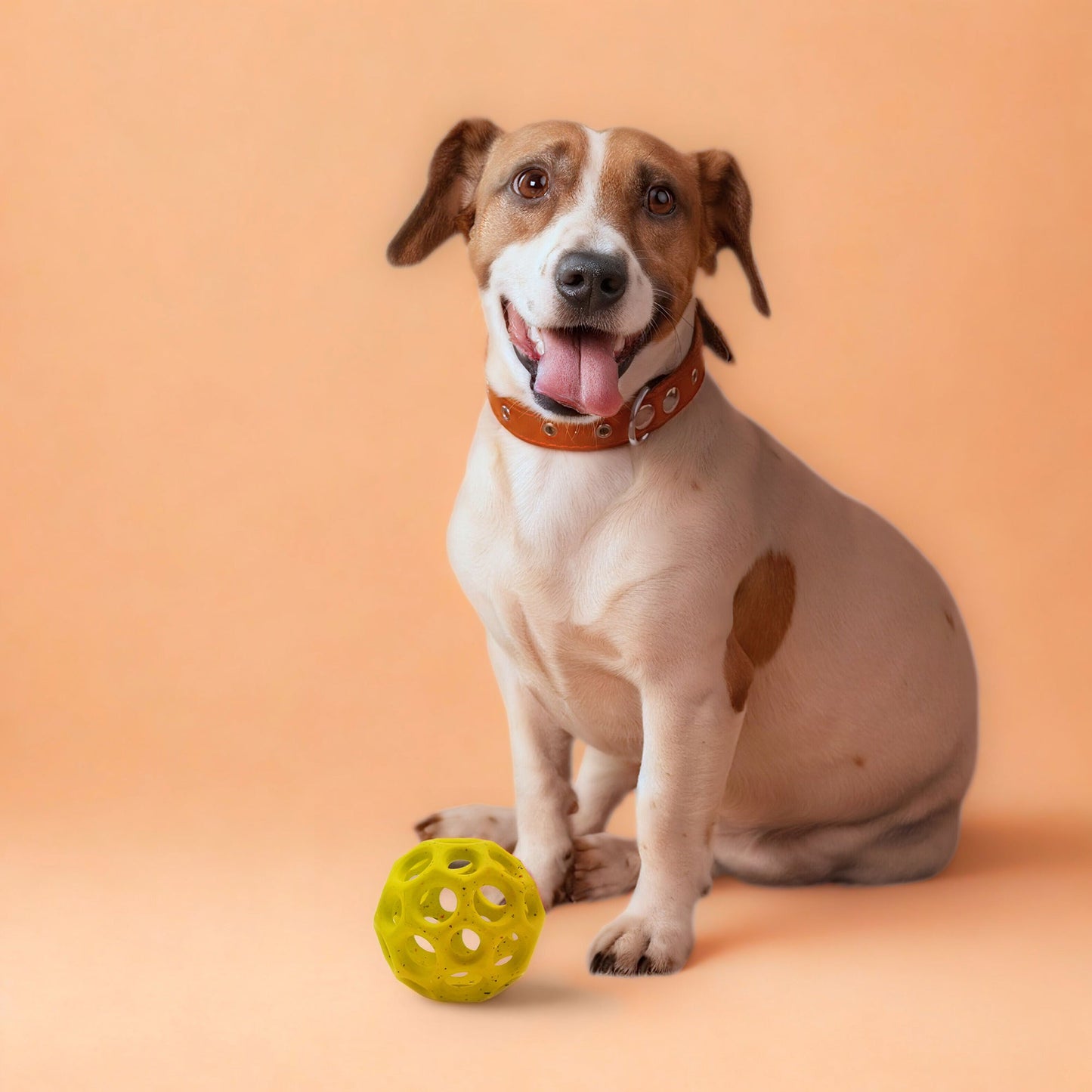 Max Fusion Helix Dog Toy