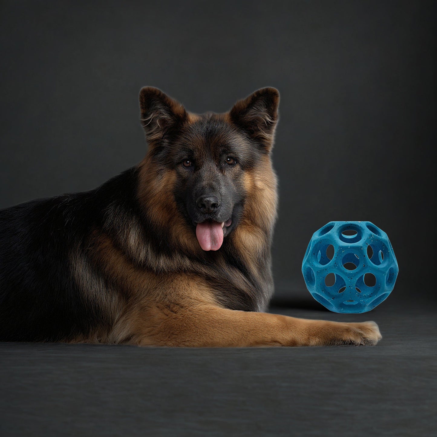 Max Fusion Helix Dog Toy