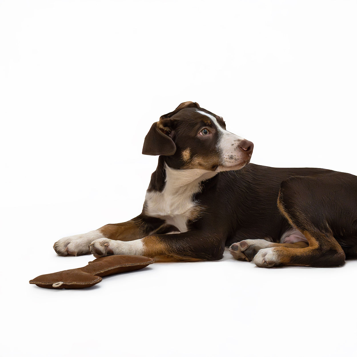 Banbury & Co Rural Retreats Suede Bone Dog Toy