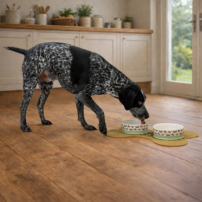 Banbury & Co Rural Retreats Ceramic Pet Bowl