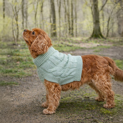 Banbury & Co Rural Retreats Seafoam Knit Dog Jumper