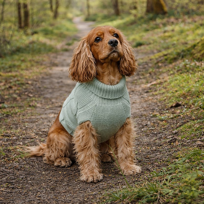 Banbury & Co Rural Retreats Seafoam Knit Dog Jumper