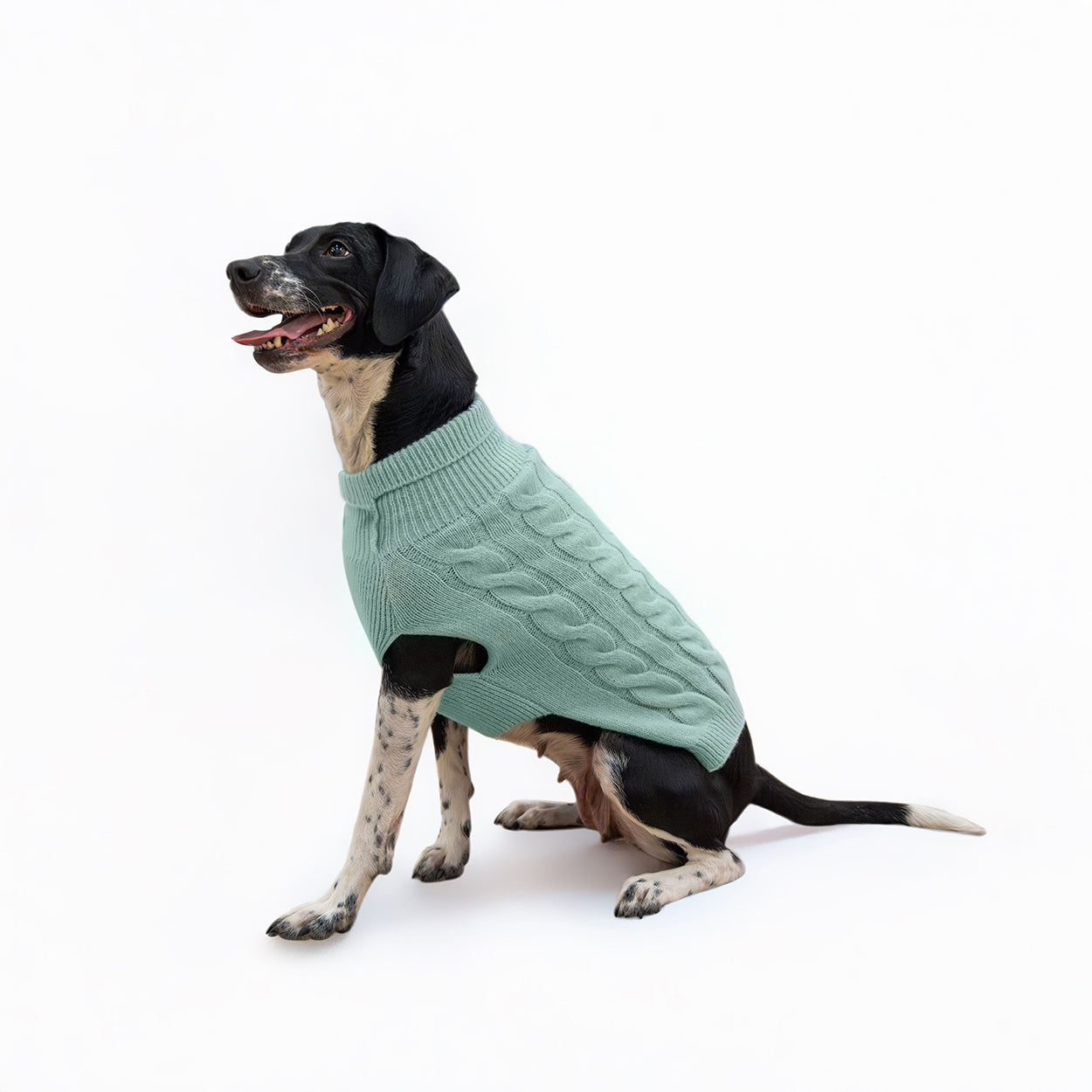 Banbury & Co Rural Retreats Seafoam Knit Dog Jumper