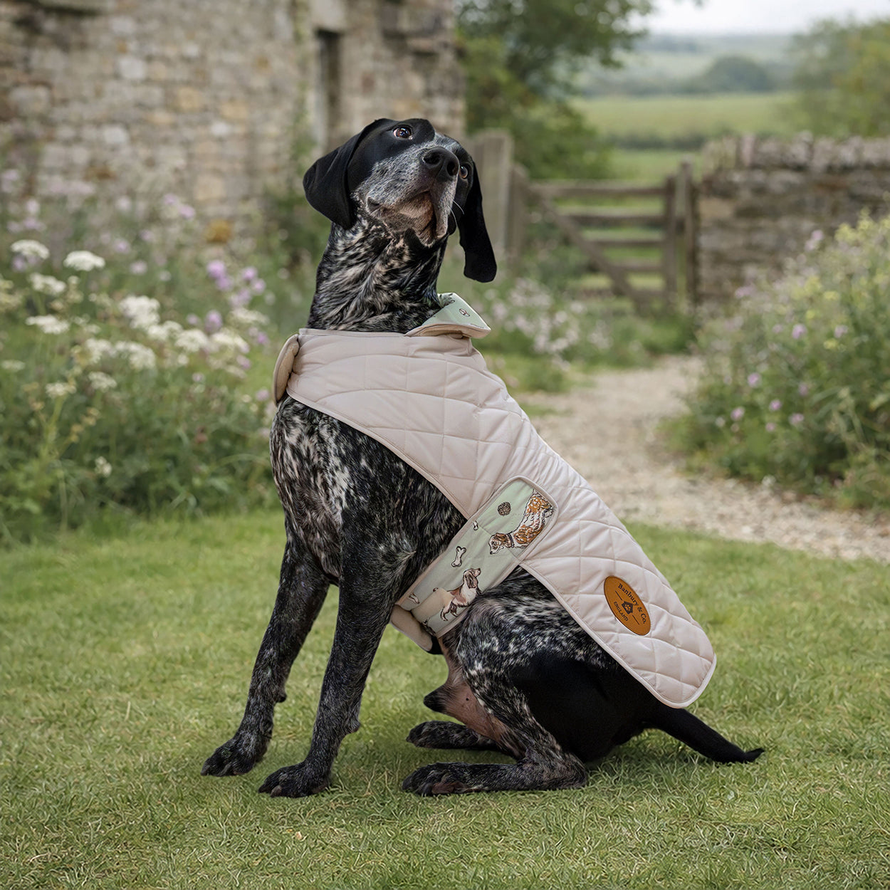 Banbury & Co Rural Retreats Grey Quilted Dog Coat