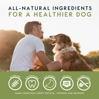 Elkwood Seaweed & Vegetable Dental Dog Chews