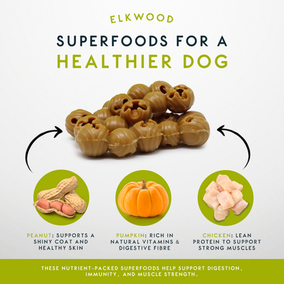 Elkwood Rattlesnaps Peanut & Pumpkin Dental Chew with Chicken