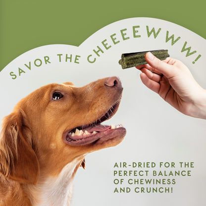 Elkwood Sponge Dental Stick SRP | 45-Pack