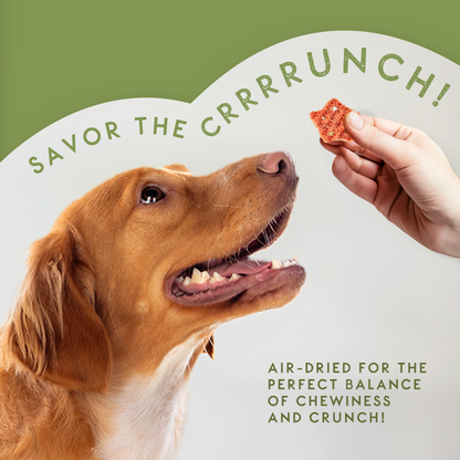 Elkwood Sponge Dental Training Treats | 100g