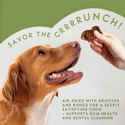Elkwood Seaweed & Vegetable Dental Dog Chews