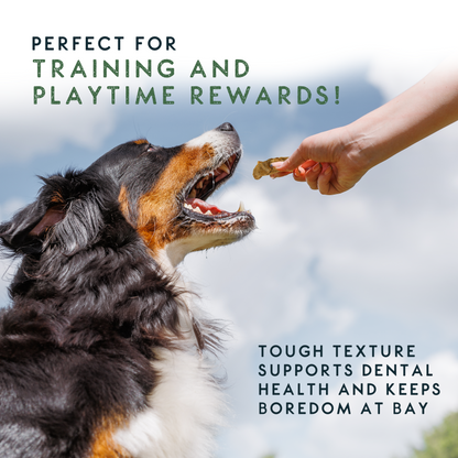 Elkwood 100% Lamb Tripe Sticks Dog Treat | 200g