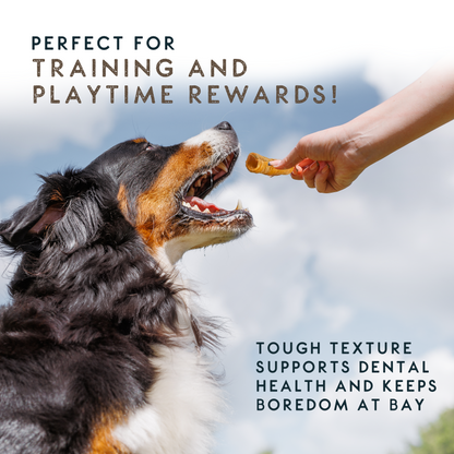 Elkwood 100% Buffalo Trachea Dog Treat | 200g