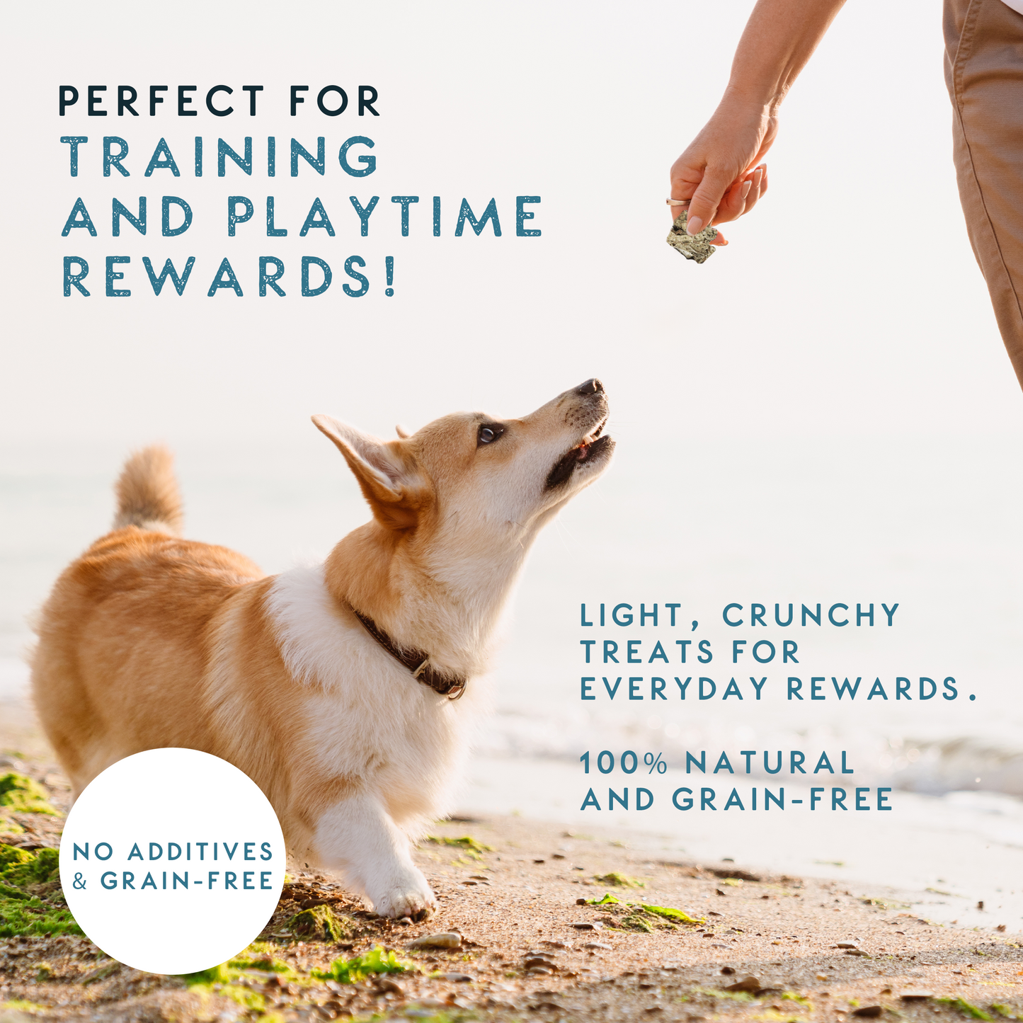 Elkwood Cod Fish Skin Cubes | 130g