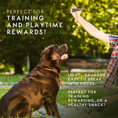 Elkwood Sponge Dental Stick SRP | 45-Pack