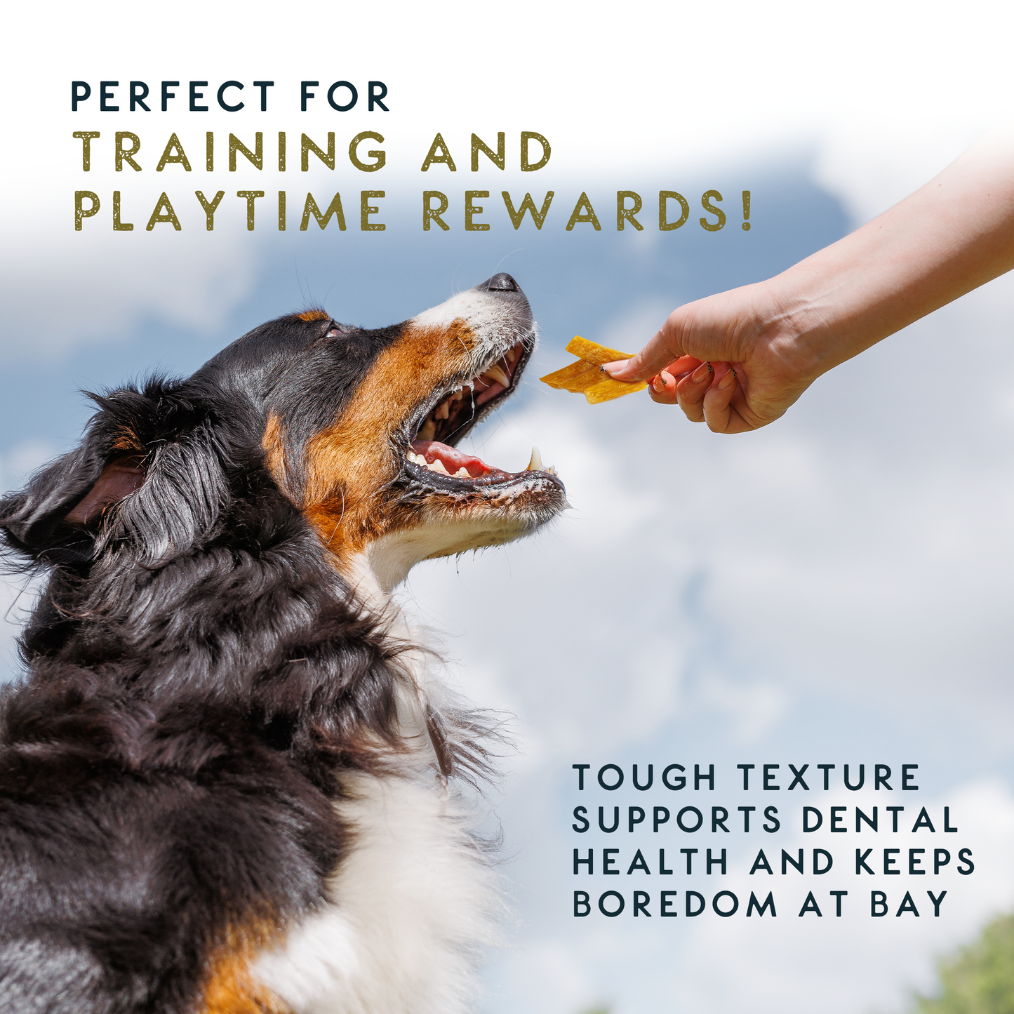 Elkwood 100% Buffalo Paddywack Dog Chew | 220g