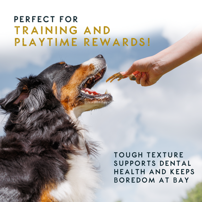 Elkwood 100% Chicken Feet Dog Treat | 160g