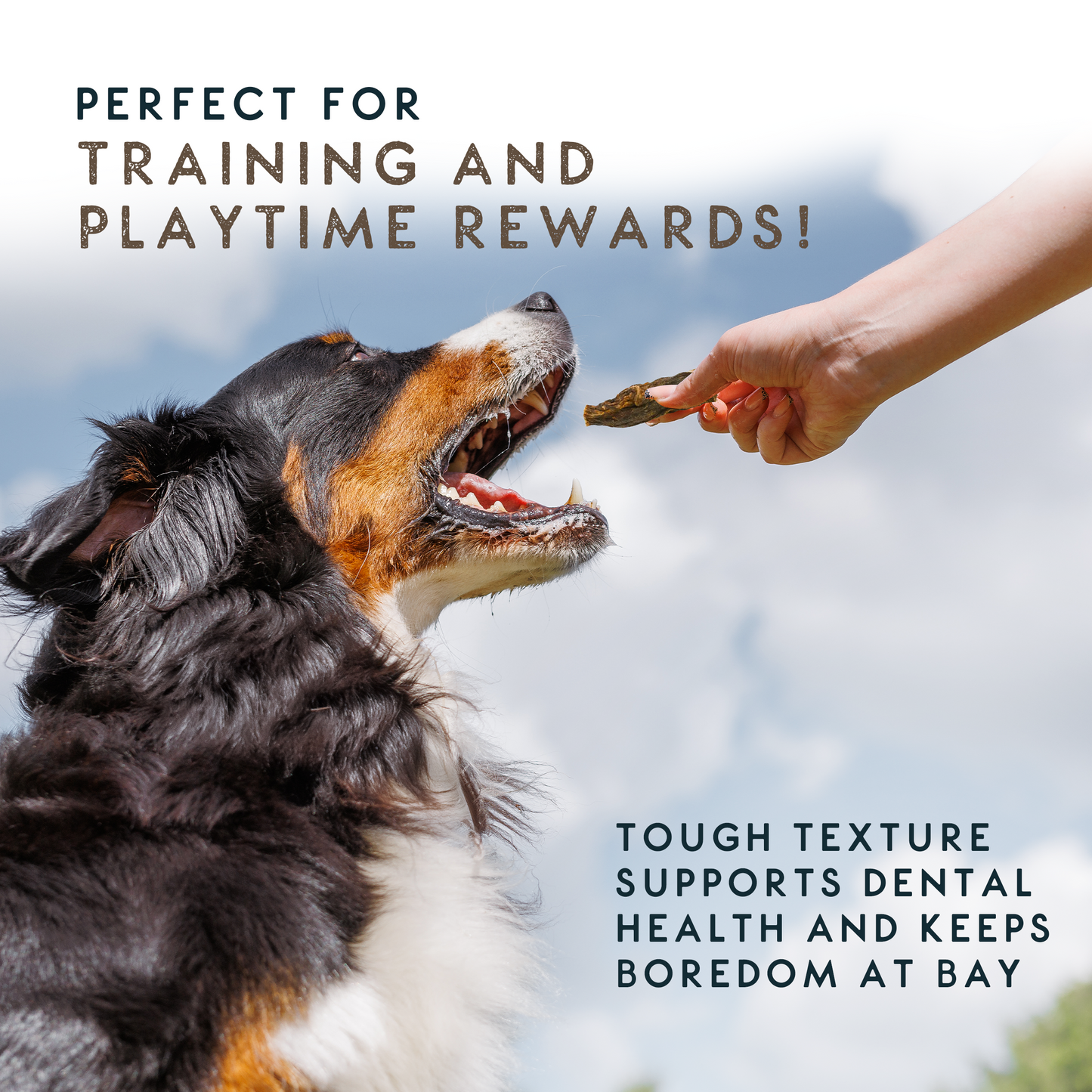 Elkwood 100% Buffalo Natural Jerky Dog Treat