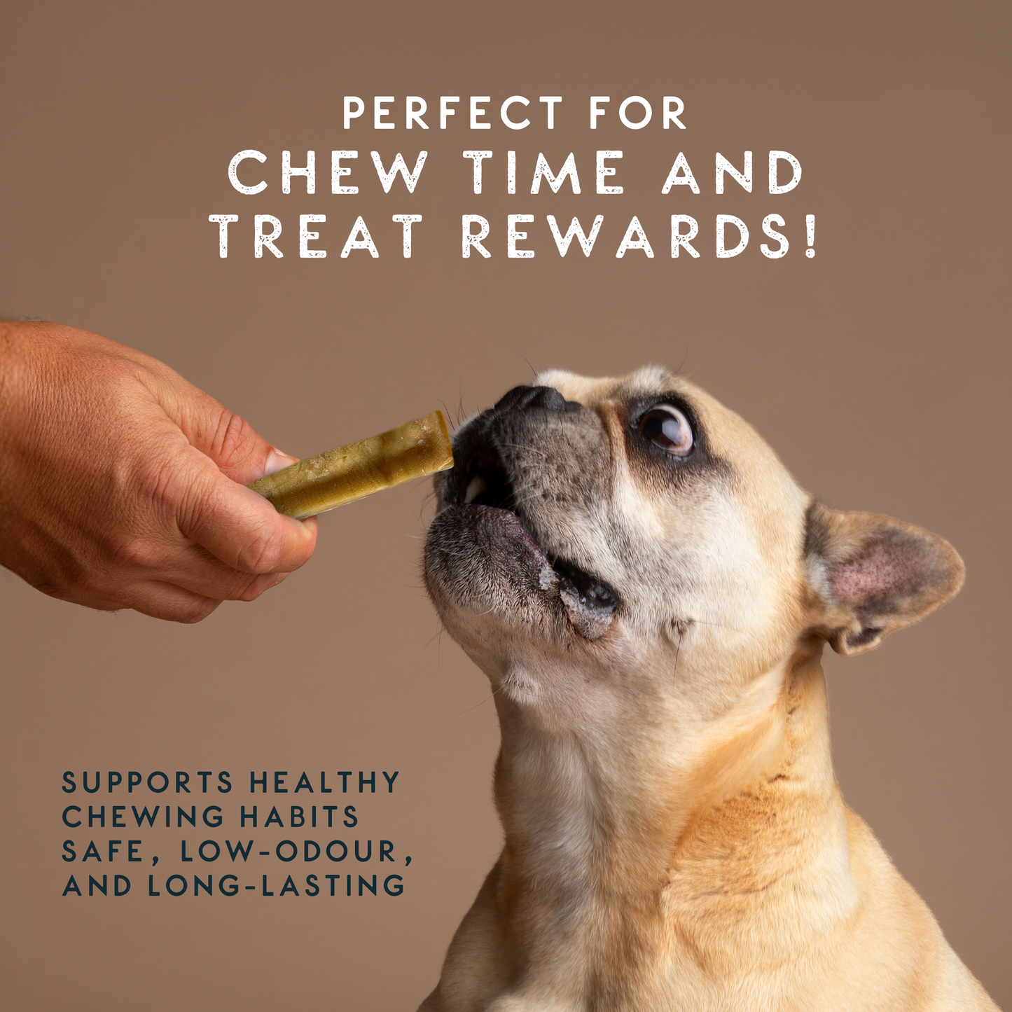 Elkwood 100% Himalayan Yak Cheese Dog Chew