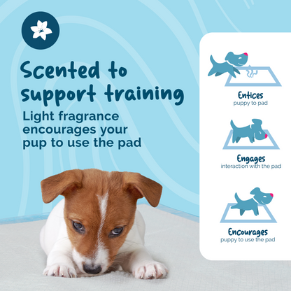 Petsentials Scented Puppy Training Pads | 105 Pack
