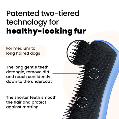 Pet Teezer Detangling Dog Grooming Brush Blue Large