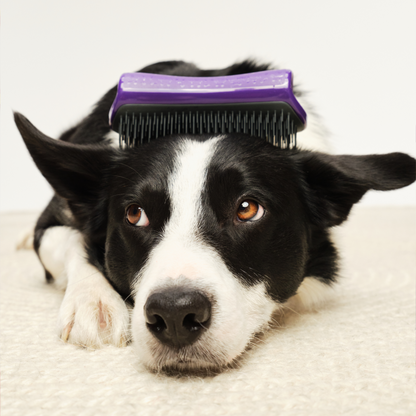Pet Teezer De-Shedding Dog Brush Purple Large