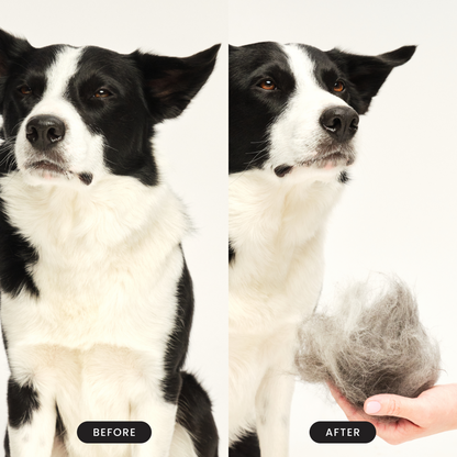 Pet Teezer De-Shedding Dog Brush Purple Large