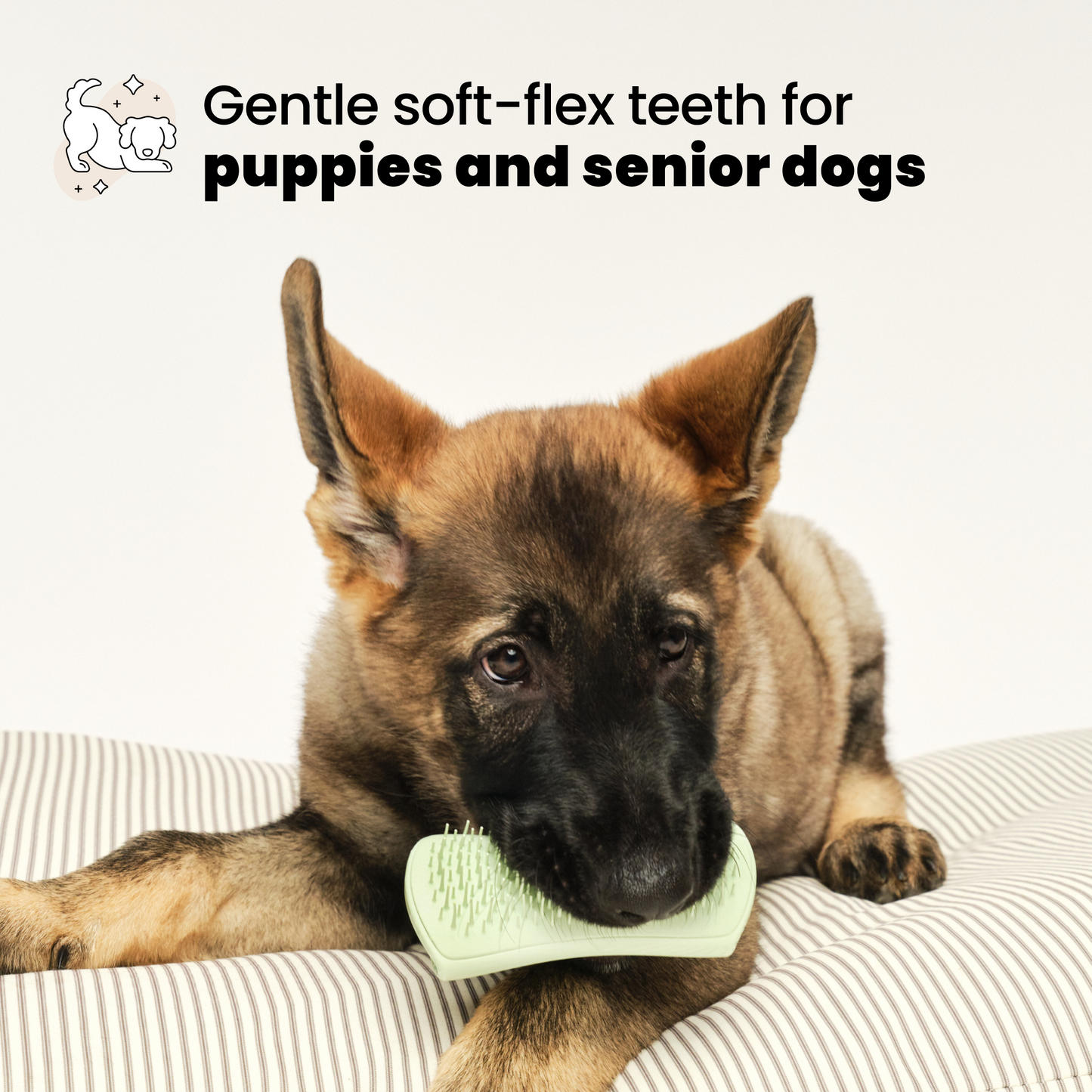 Pet Teezer Puppy Grooming Brush Pistachio