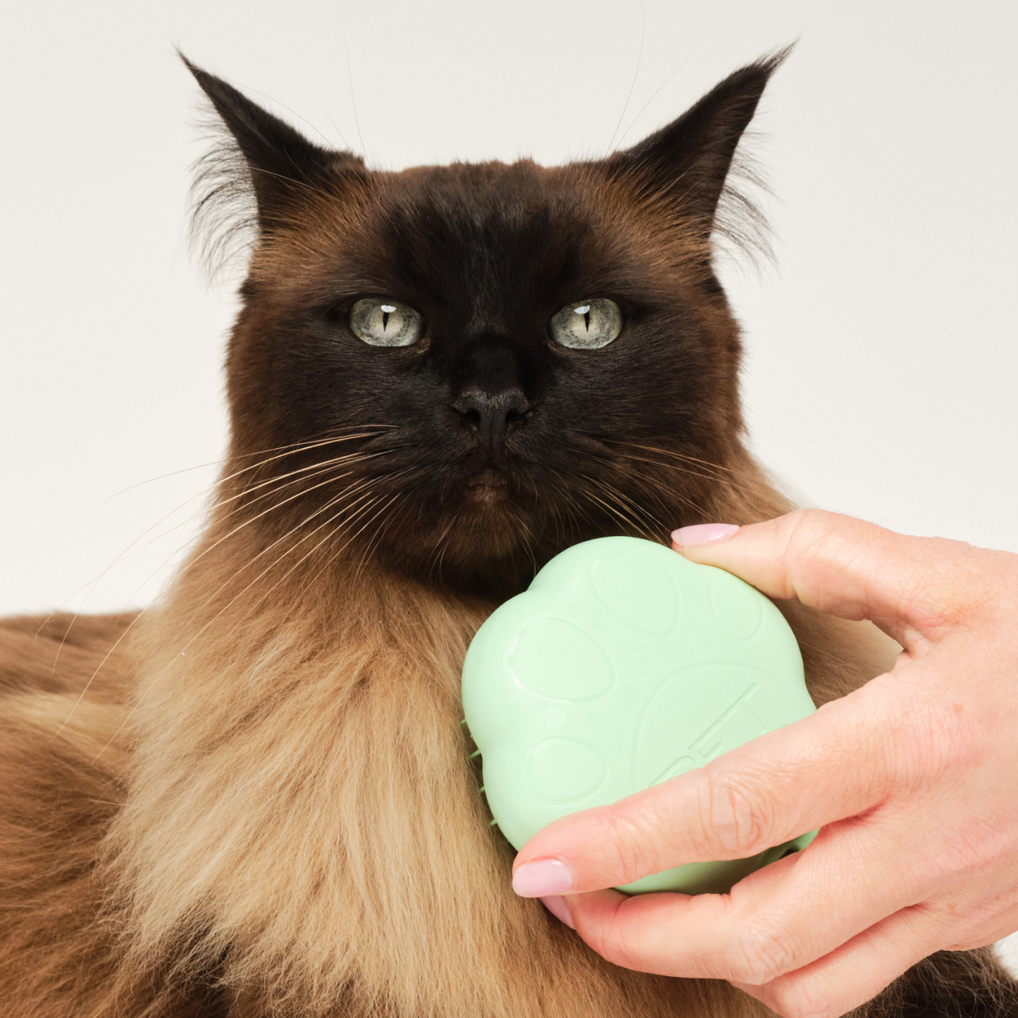Pet Teezer Detangling Cat Grooming Brush Green