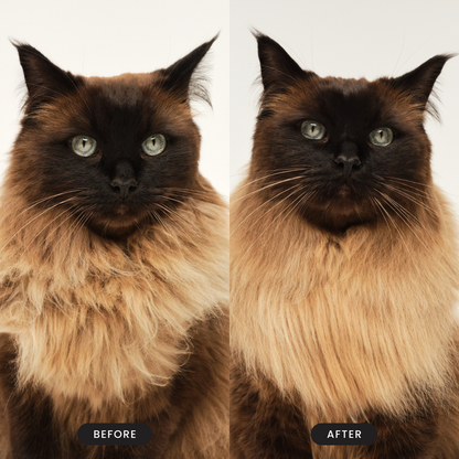 Pet Teezer Detangling Cat Grooming Brush Pink