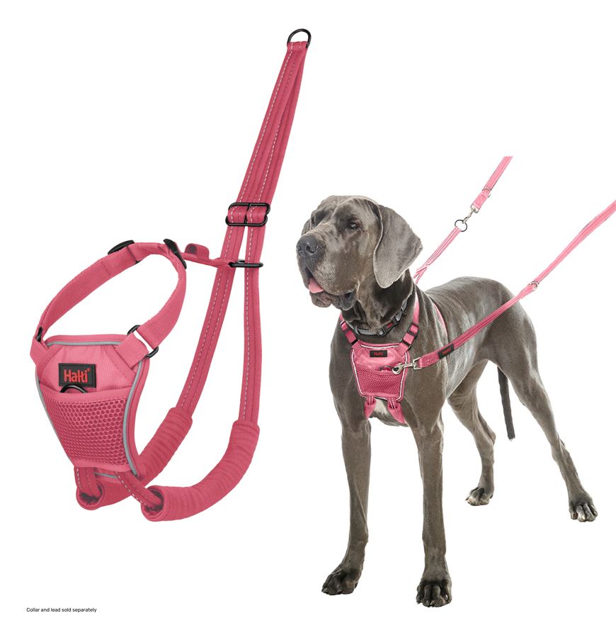 Halti Train No Pull Harness Pink