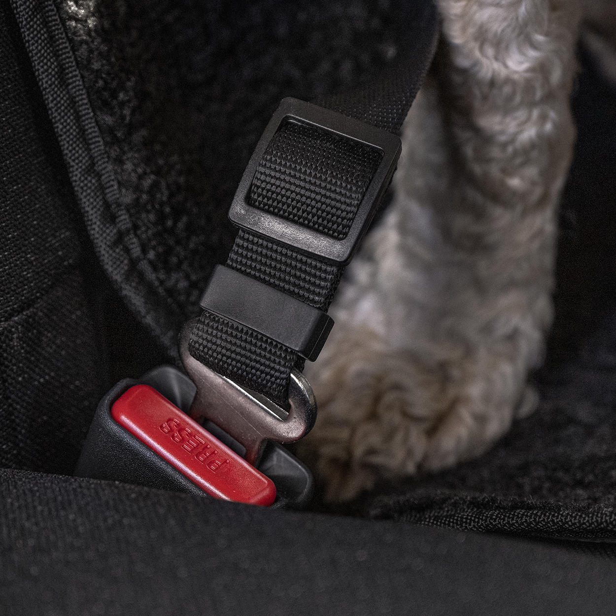 RAC In-car Harness Seatbelt Connector Strap