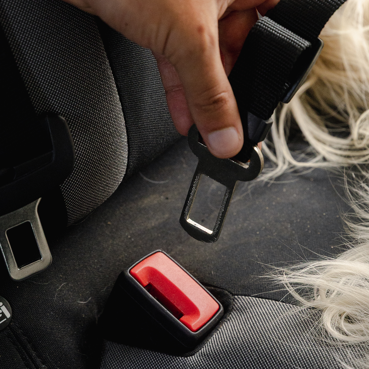 RAC In-car Harness Seatbelt Connector Strap