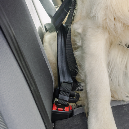 RAC In-car Harness Seatbelt Connector Strap