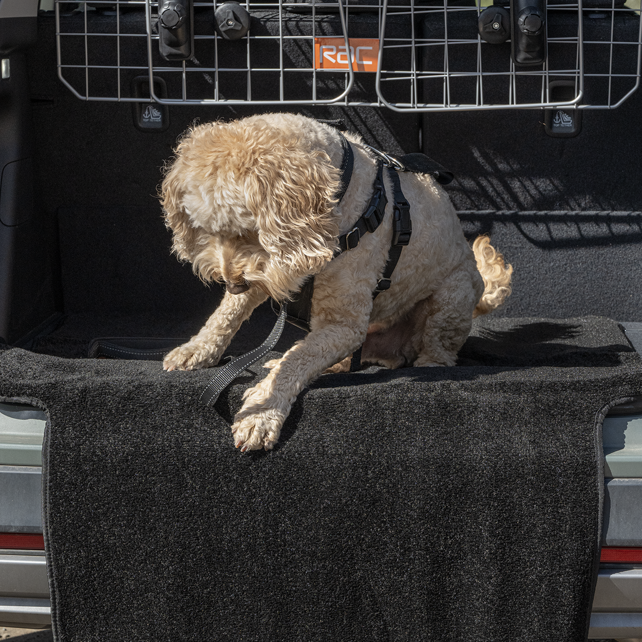 RAC Advanced Car Boot Protector