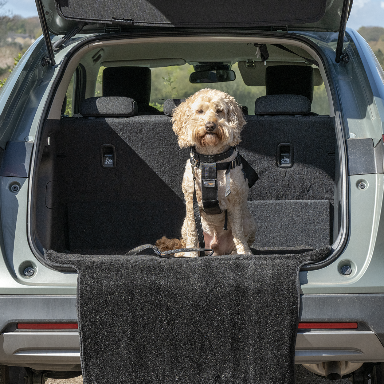 RAC Advanced Car Boot Protector