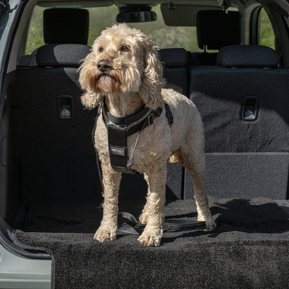 RAC Advanced Car Boot Protector