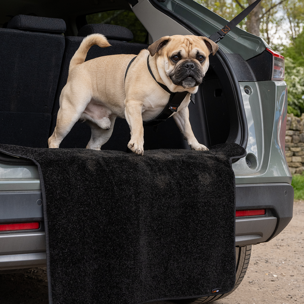 RAC Advanced Car Boot Protector