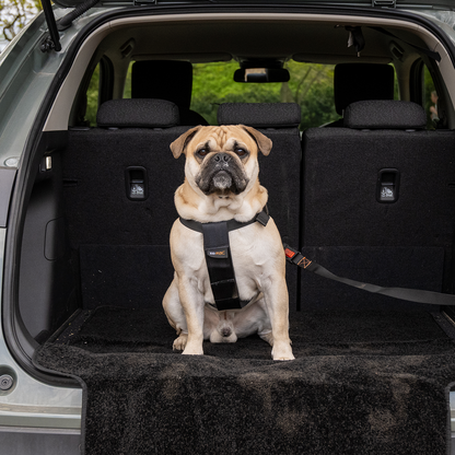 RAC Advanced Car Boot Protector