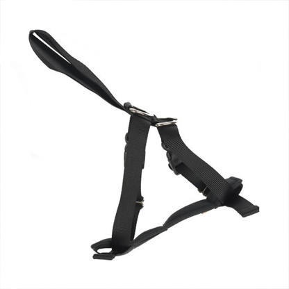 RAC 2-In-1 Max Chest Dog Car Harness